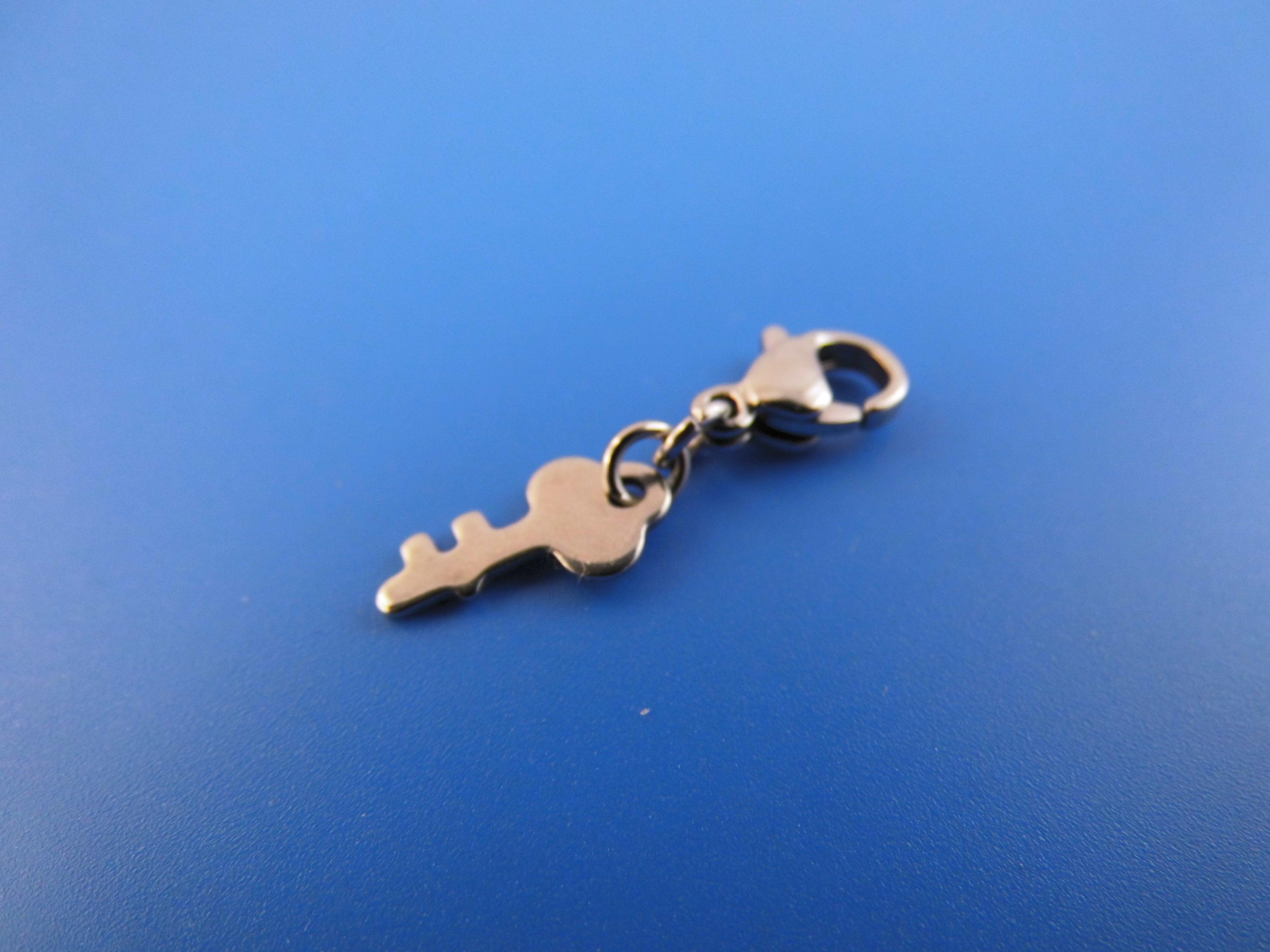 Edelstahl Anhänger Charm verschiedene Motive