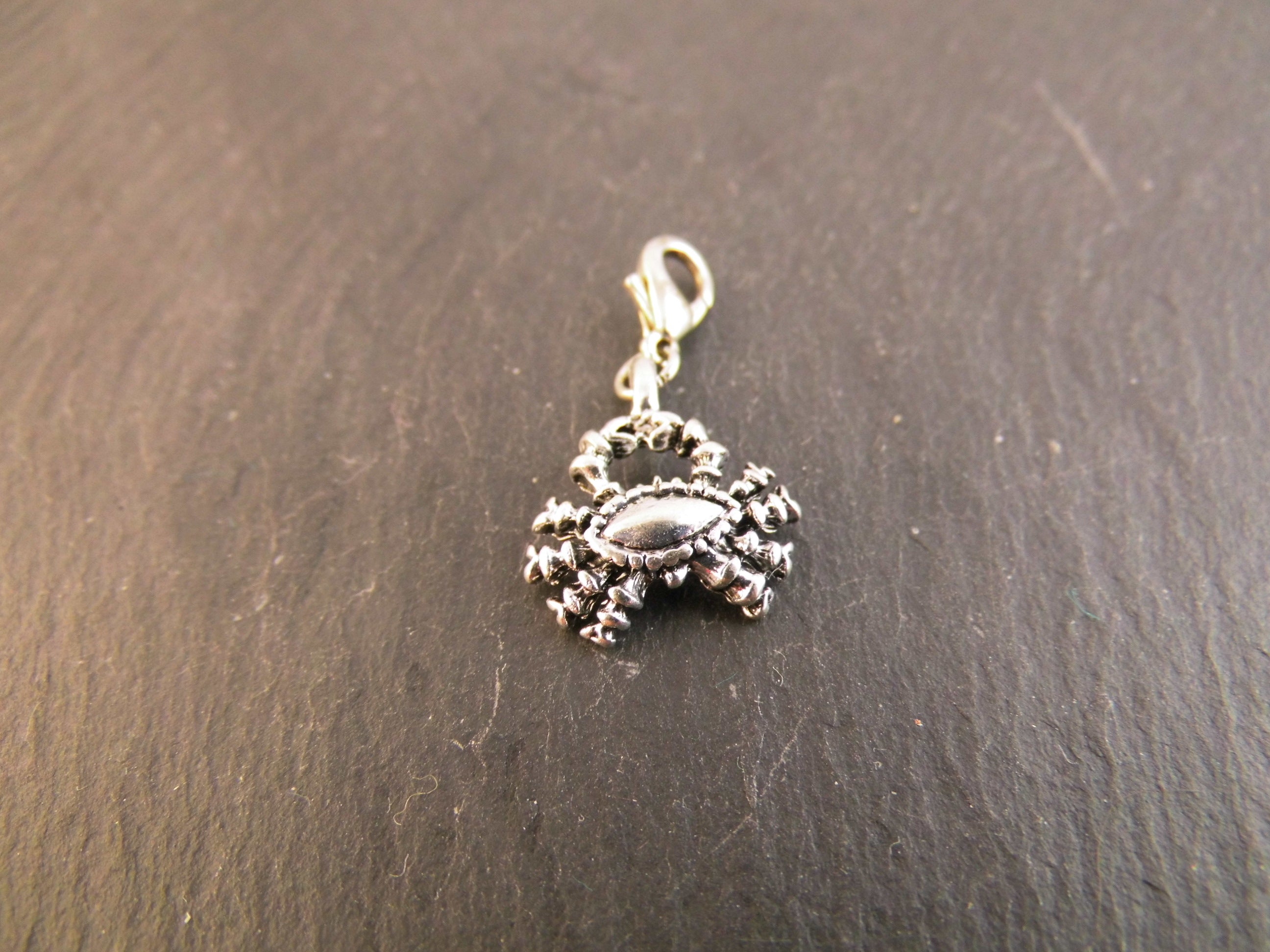 Charm Anhänger Bettelarmband Sternzeichen